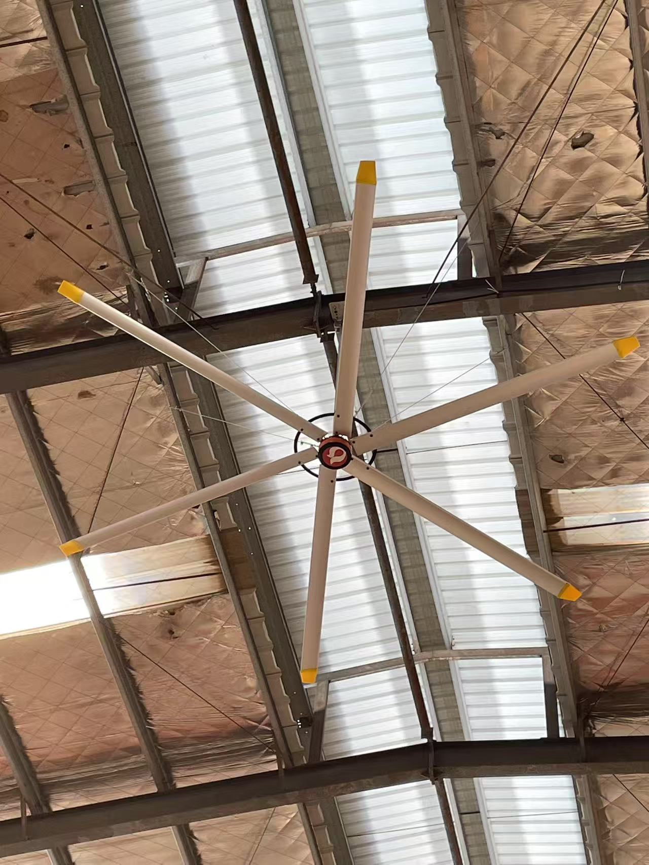 永磁工業(yè)大風扇 永磁工業(yè)大風扇